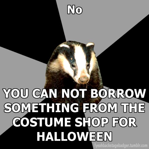 tumblr_lhuubmKSbb1qhgljvo1_500