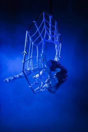 2213a386e50fa44766491fad47c4be53