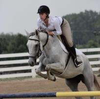 39287274_262390597703937_5842490943856443392_n